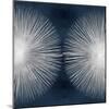 Sunburst on Dark Blue II-Abby Young-Mounted Art Print