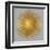 Sunburst on Grey I-Abby Young-Framed Art Print