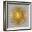 Sunburst on Grey I-Abby Young-Framed Art Print