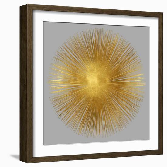 Sunburst on Grey I-Abby Young-Framed Art Print