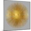 Sunburst on Grey I-Abby Young-Mounted Art Print