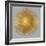 Sunburst on Grey I-Abby Young-Framed Art Print