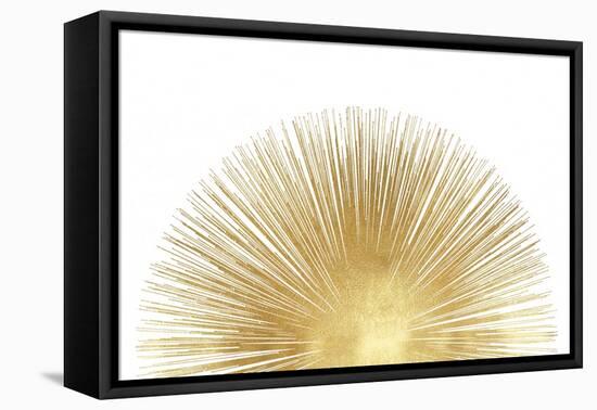 Sunburst Rising-Abby Young-Framed Stretched Canvas