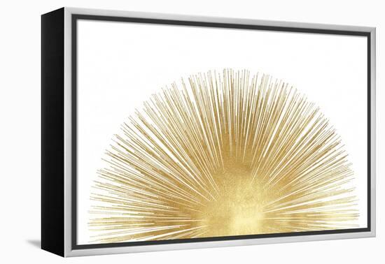 Sunburst Rising-Abby Young-Framed Stretched Canvas