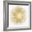 Sunburst Soft Gold I-Abby Young-Framed Art Print