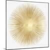 Sunburst Soft Gold I-Abby Young-Mounted Art Print