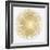 Sunburst Soft Gold I-Abby Young-Framed Art Print