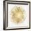 Sunburst Soft Gold I-Abby Young-Framed Art Print