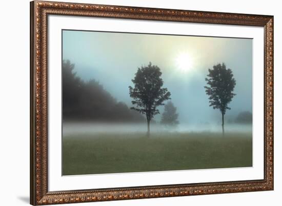 Sunburst-Monte Nagler-Framed Art Print