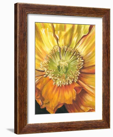 Sunburst-Barbara Keith-Framed Giclee Print