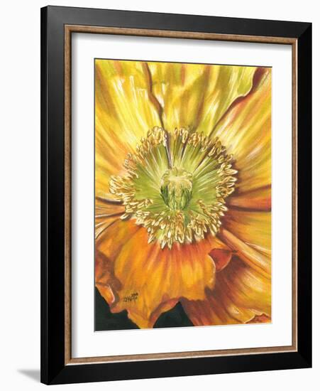 Sunburst-Barbara Keith-Framed Giclee Print