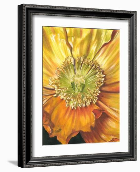 Sunburst-Barbara Keith-Framed Giclee Print