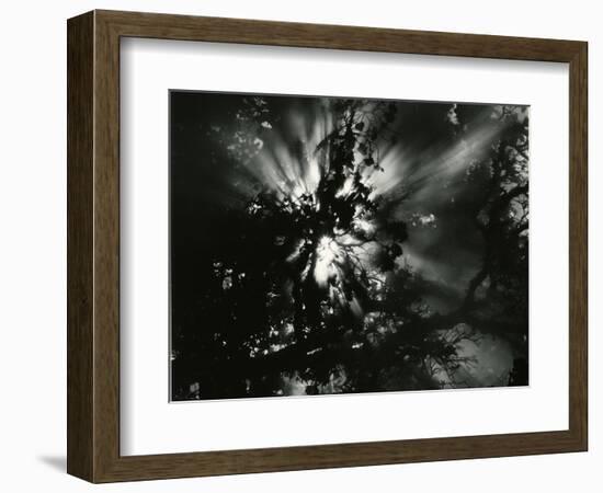 Sunburstm Hawaii, 1978-Brett Weston-Framed Photographic Print