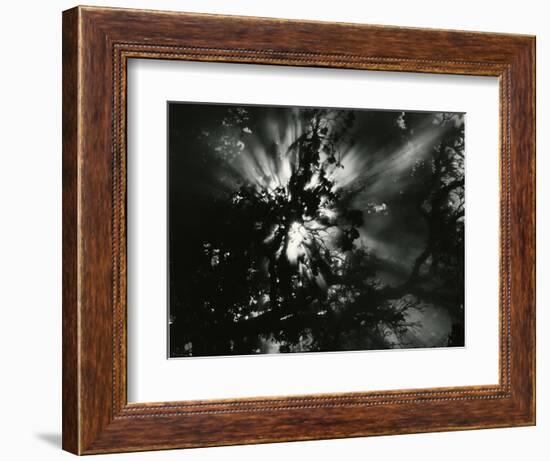 Sunburstm Hawaii, 1978-Brett Weston-Framed Photographic Print