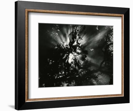 Sunburstm Hawaii, 1978-Brett Weston-Framed Photographic Print