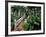 Sunbury Plantation House, St. Phillip Parish, Barbados, Caribbean-Greg Johnston-Framed Photographic Print