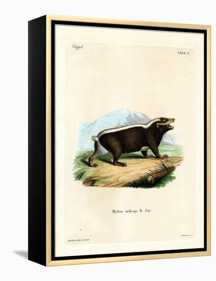 Sunda Stink Badger-null-Framed Premier Image Canvas