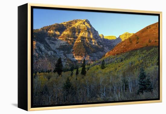 Sundance-Ike Leahy-Framed Premier Image Canvas