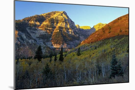 Sundance-Ike Leahy-Mounted Photographic Print