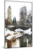 Sunday at Central Park-Philippe Hugonnard-Mounted Giclee Print