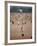 Sunday Cricket, New Delhi, India-David Lomax-Framed Photographic Print