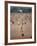 Sunday Cricket, New Delhi, India-David Lomax-Framed Photographic Print