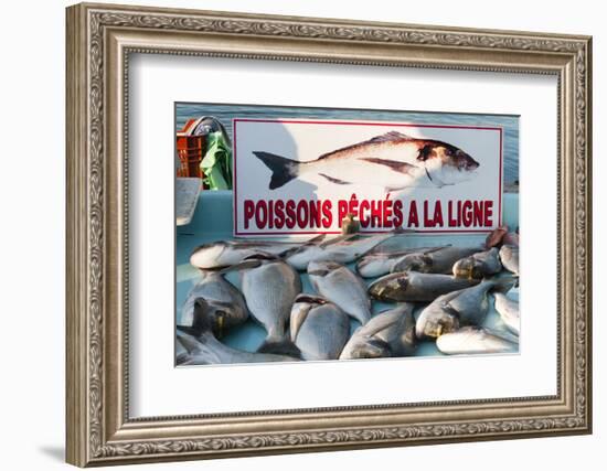 Sunday Fish Market at Vieux Port-Nico Tondini-Framed Photographic Print