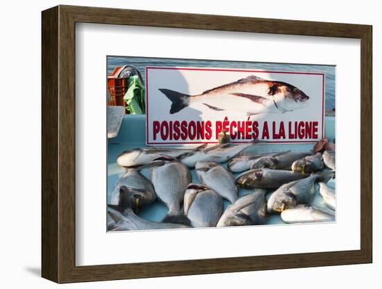 Sunday Fish Market at Vieux Port-Nico Tondini-Framed Photographic Print