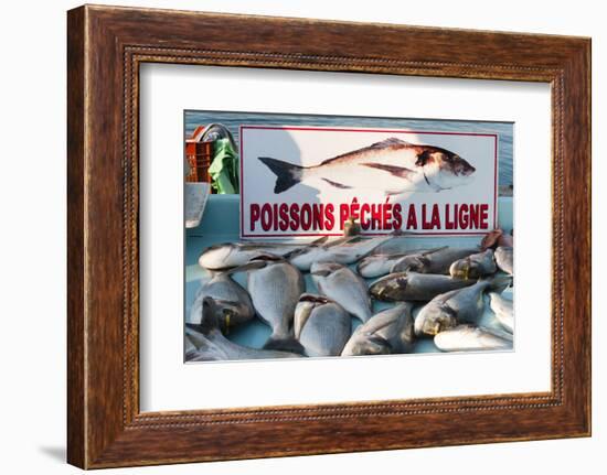 Sunday Fish Market at Vieux Port-Nico Tondini-Framed Photographic Print