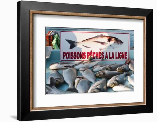 Sunday Fish Market at Vieux Port-Nico Tondini-Framed Photographic Print