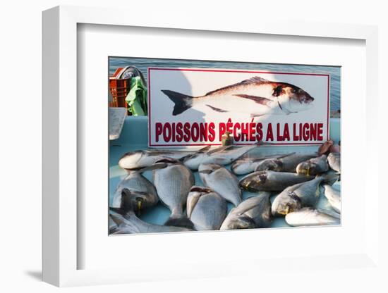 Sunday Fish Market at Vieux Port-Nico Tondini-Framed Photographic Print