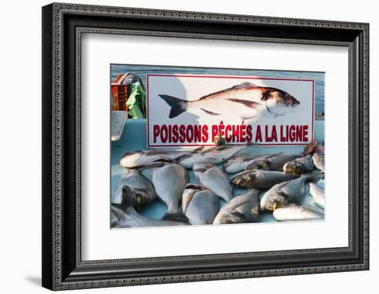 Sunday Fish Market at Vieux Port-Nico Tondini-Framed Photographic Print