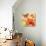 SunDay II-Sandra Jacobs-Art Print displayed on a wall