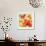 SunDay II-Sandra Jacobs-Framed Art Print displayed on a wall
