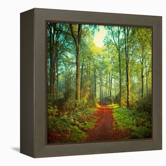 Sunday Morning Walk-Dirk Wuestenhagen-Framed Stretched Canvas