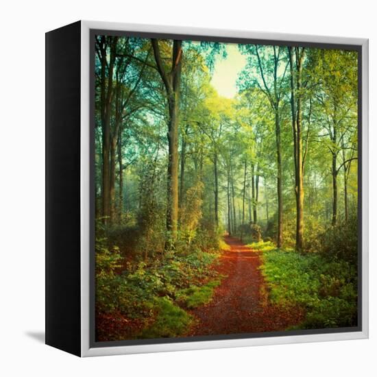 Sunday Morning Walk-Dirk Wuestenhagen-Framed Stretched Canvas