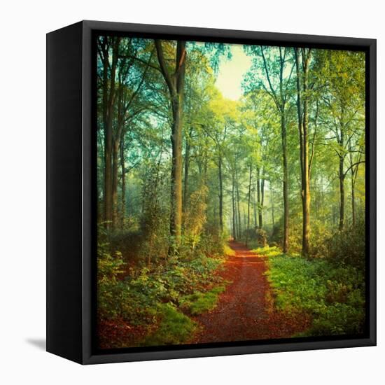 Sunday Morning Walk-Dirk Wuestenhagen-Framed Stretched Canvas