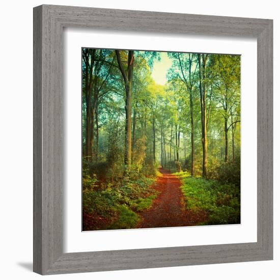 Sunday Morning Walk-Dirk Wuestenhagen-Framed Art Print