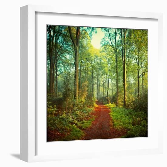 Sunday Morning Walk-Dirk Wuestenhagen-Framed Art Print