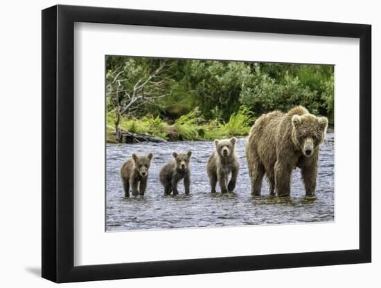 Sunday Stroll-Art Wolfe-Framed Photographic Print