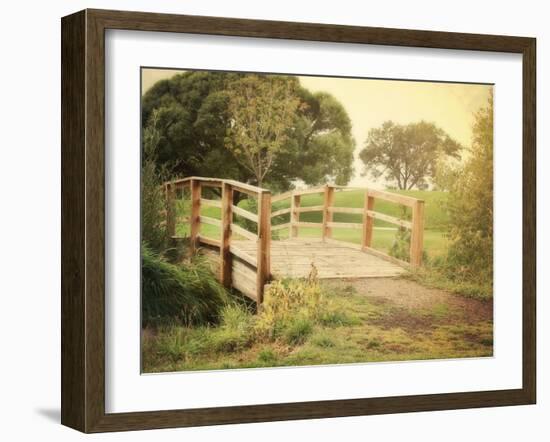 Sunday Stroll-Sylvia Coomes-Framed Photographic Print