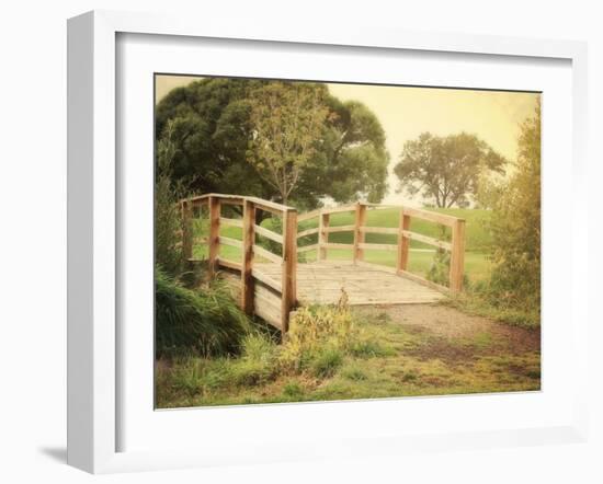 Sunday Stroll-Sylvia Coomes-Framed Photographic Print