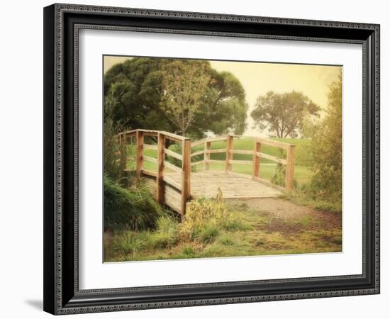 Sunday Stroll-Sylvia Coomes-Framed Photographic Print