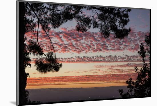 Sundown and Pink Clouds in La Mesa, California at Sunset-Michael Qualls-Mounted Photographic Print