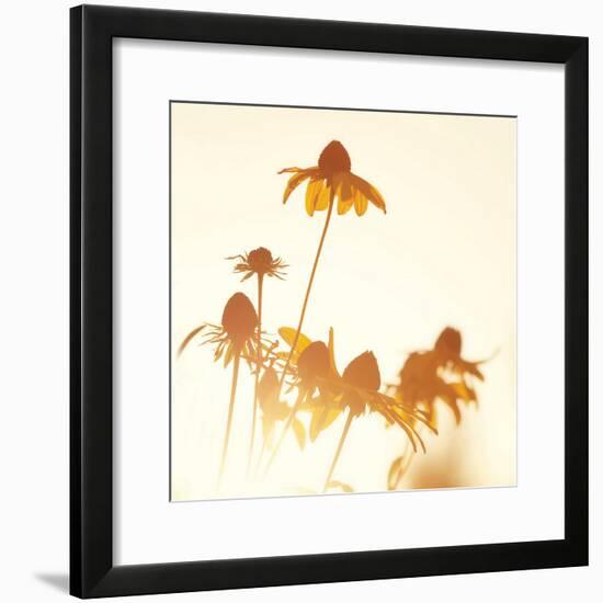 Sundown Flowers-Mandy Lynne-Framed Art Print