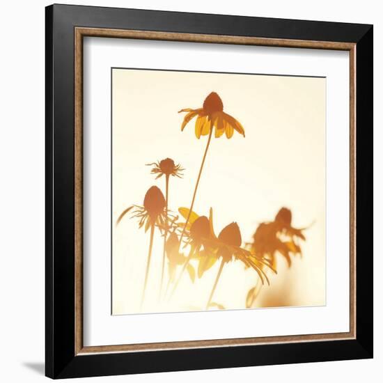 Sundown Flowers-Mandy Lynne-Framed Art Print