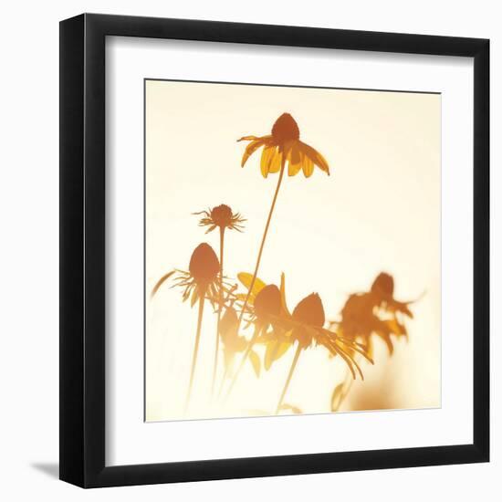 Sundown Flowers-Mandy Lynne-Framed Art Print