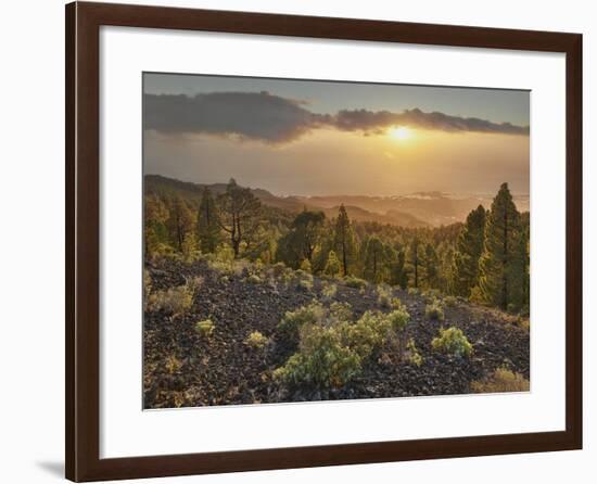 Sundown Las Manchas, Parque Natural Cumbre Vieja, Island La Palma, Canary Islands, Spain-Rainer Mirau-Framed Photographic Print