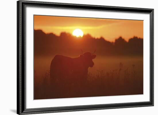 Sundown-Staffan Widstrand-Framed Giclee Print