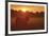 Sundown-Staffan Widstrand-Framed Giclee Print